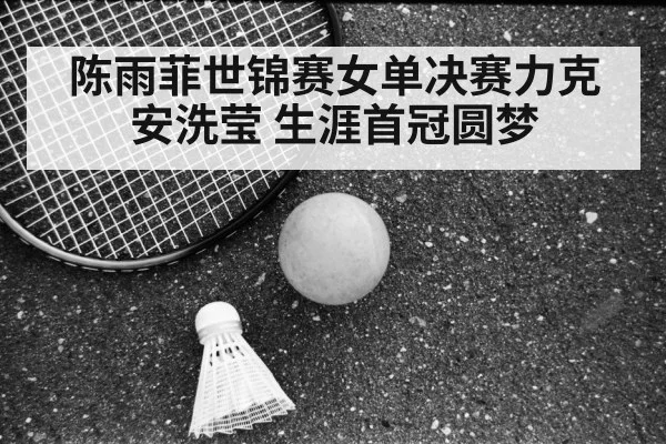 陈雨菲世锦赛女单决赛力克安洗莹 生涯首冠圆梦